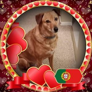 Meet your Posher, Ana